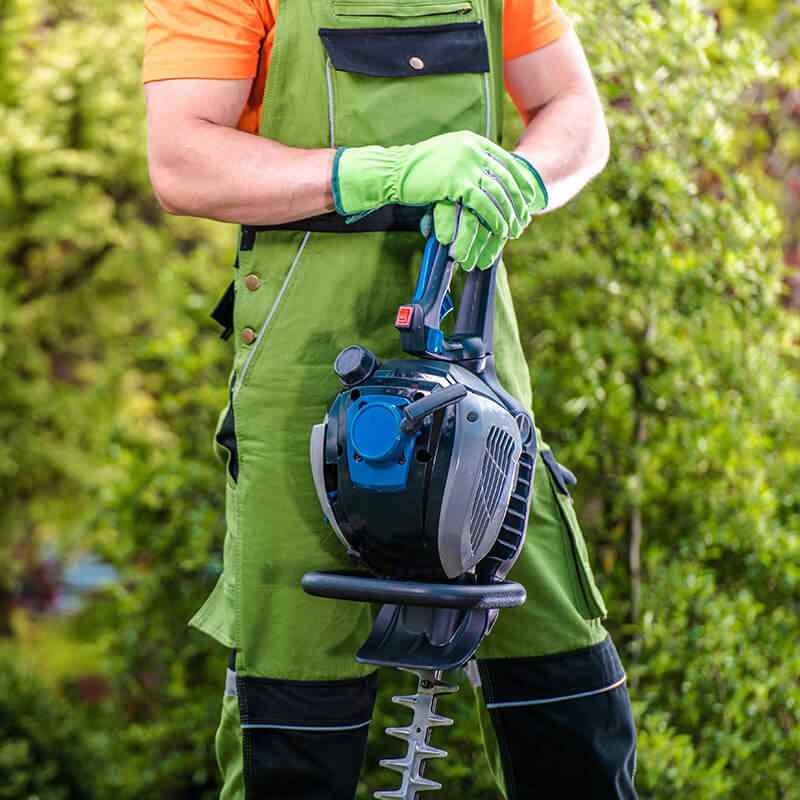 https://casaverdeblog.com/wp-content/uploads/2019/08/home_4_services.jpg