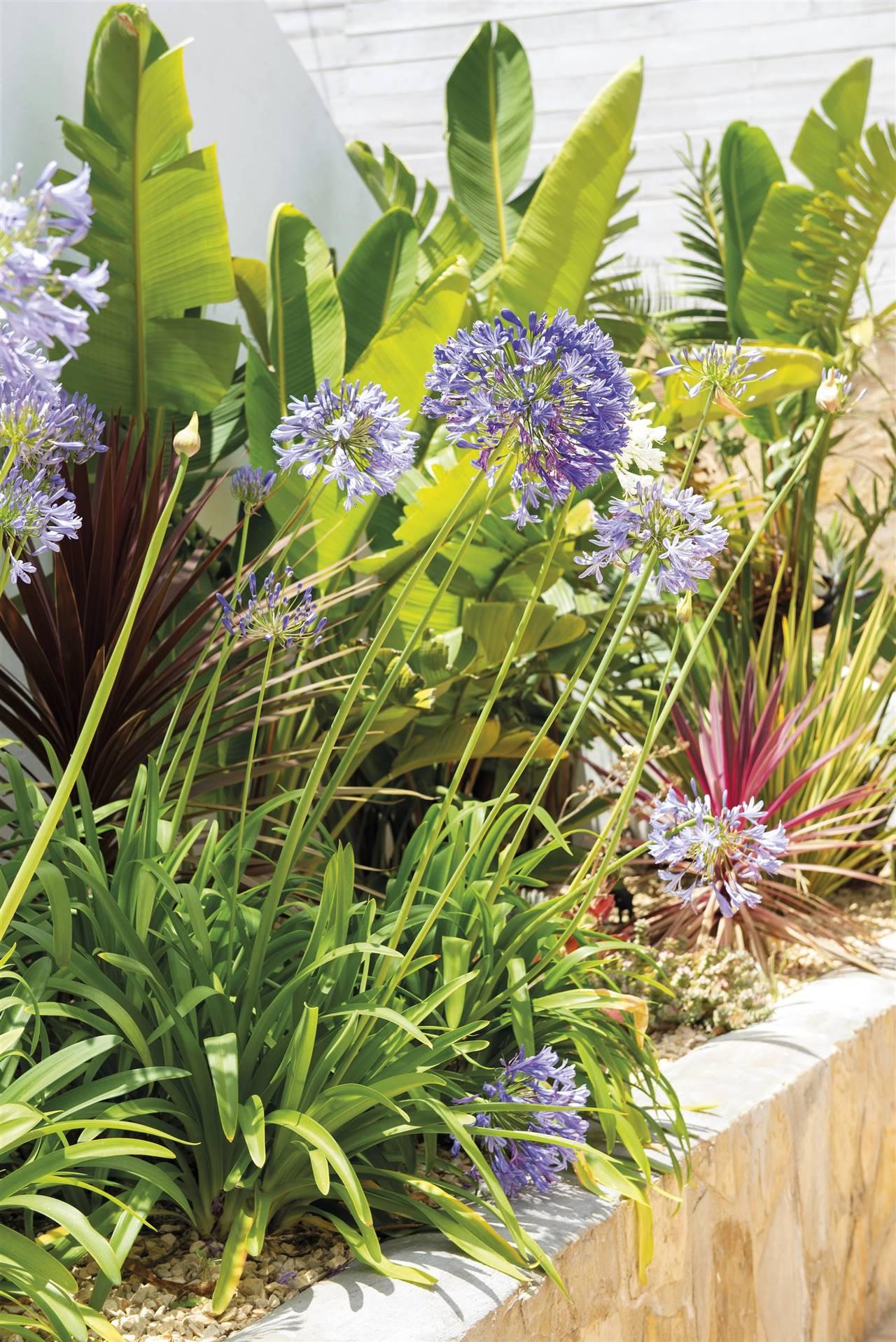 Cuidados Esenciales para Mantener Tu Jardín Resistente