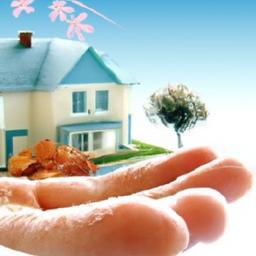 Guía para Crear tu Casa Verde Perfecta