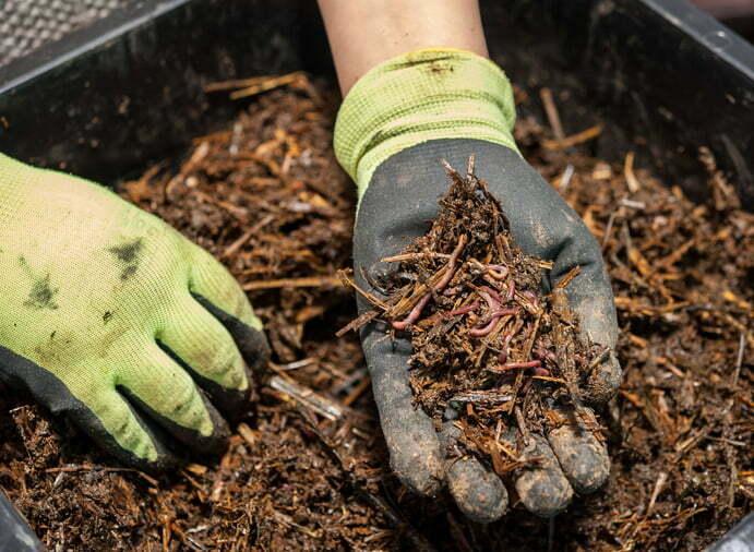 - Consejos para aplicar fertilizantes ecológicos de manera efectiva