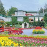 Transforma tu Casa en un Paraíso de Flores y Jardines