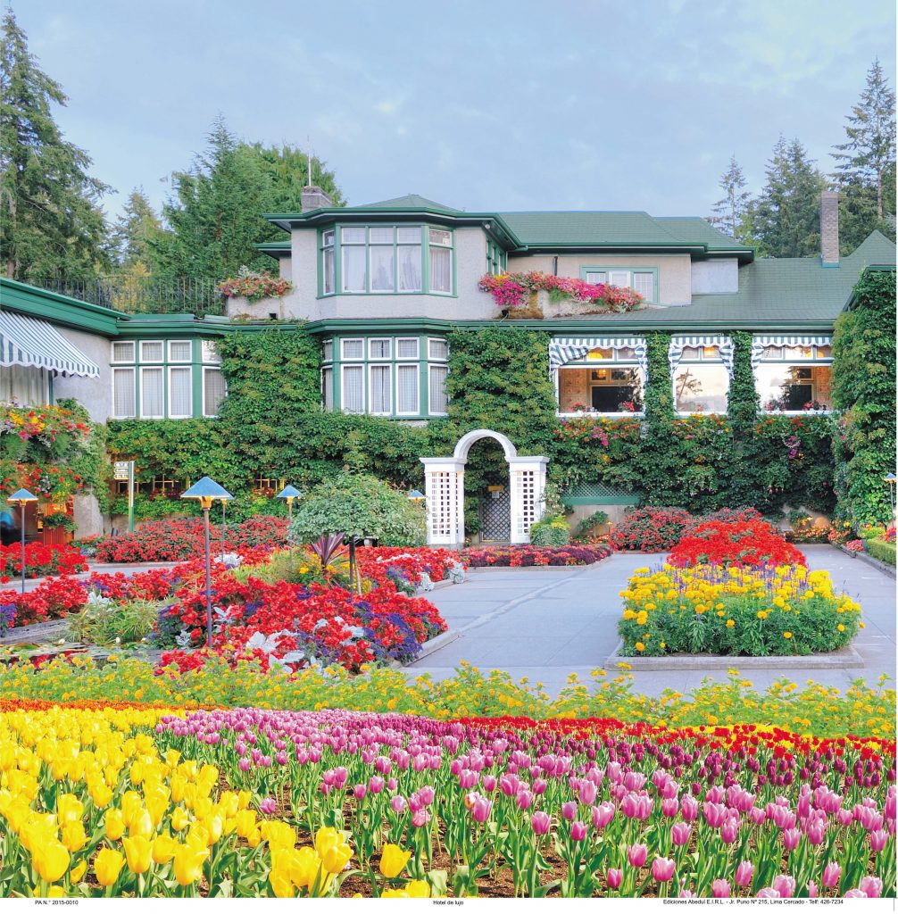 Transforma tu Casa en un Paraíso de Flores y Jardines