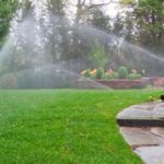 Elige el Sistema de Riego Ideal para tu Jardín