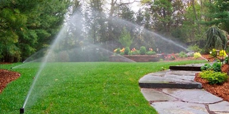 Elige el Sistema de Riego Ideal para tu Jardín